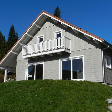 Chalet Myrtille Gérardmer Extérieur photo